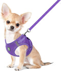 FEimaX Dog Harness and Leash Set, No-Pull Breathable Soft Mesh Puppy Vest by FEimaX
