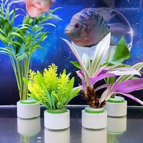 16 Pack Aquarium Plant Weights, Aquatic Plants Fixed Ring Set