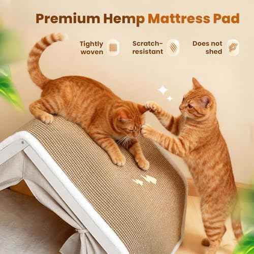 Cat Houses for Indoor Cats - 4 Seasons Cat Bed Cave with Natural Sisal