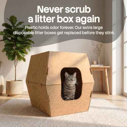 Cats Desire Disposable Cat Litter Boxes with High Sides - 15 Boxes