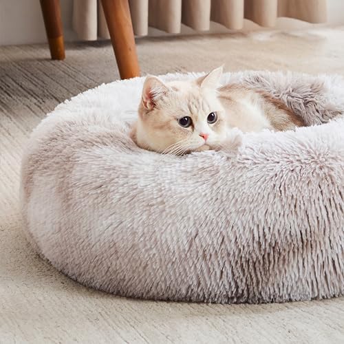 WESTERN HOME WH Calming Dog & Cat Bed, Anti-Anxiety Donut Cuddler Warming Cozy - Image 4