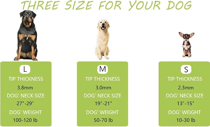 Prong Pinch Collar for Dogs - Image 6