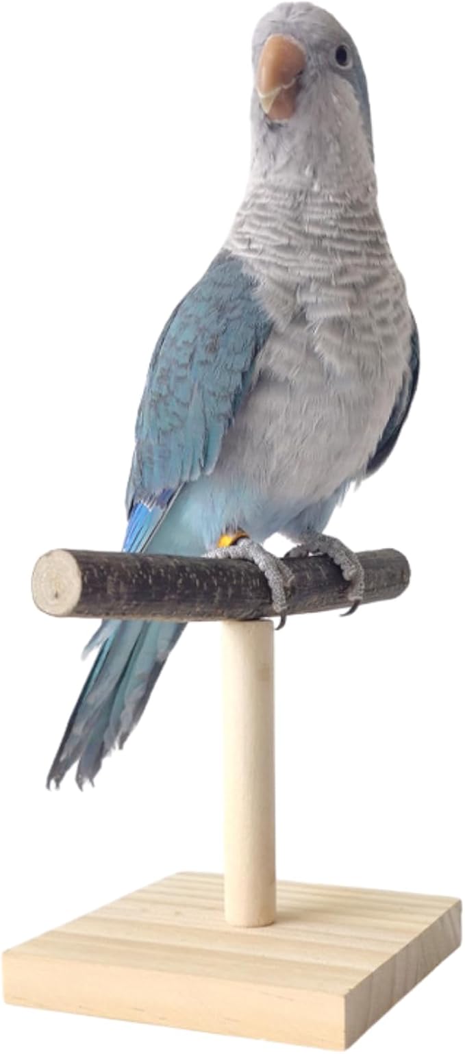 Bird Perch Stand, Bird Training Portable Tabletop Platform, Parrot Cage Toy Gym by Copfeu