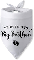 Promoted to Big Brother Pregnancy Announcement Dog Bandana Baby Announcement by PwrlveiutforYou