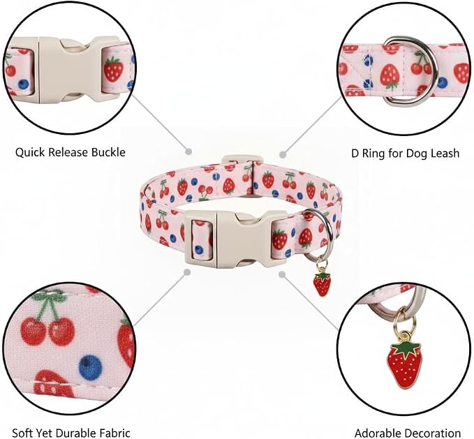 Small Dog Collar, Cute Dog Collar - Image 2