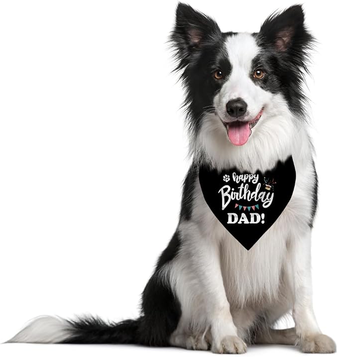 Happy Birthday Dad Dog Bandana, Dad's Gift Dog Bandana, Pet Scarf Accessories - Image 3
