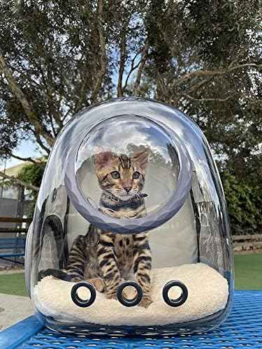 Bubble Cat Carrier Backpack, Transparent Pet Carrier Backpack for