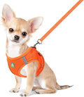 FEimaX Dog Harness and Leash Set, No Pull Breathable Soft Mesh Puppy Vest by FEimaX