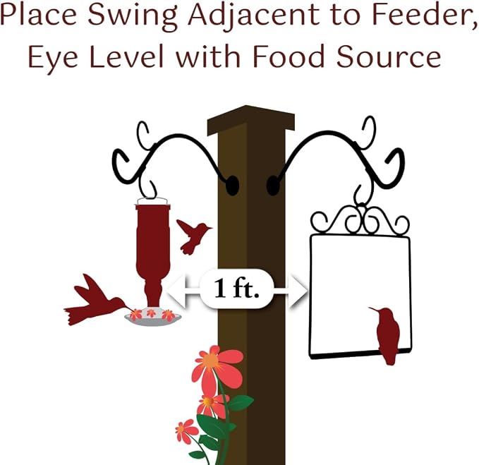 The Original Hummingbird Swing for Outdoors - Image 6