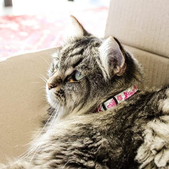 Rogz Glow in the Dark Reflective Cat Collar - Image 5