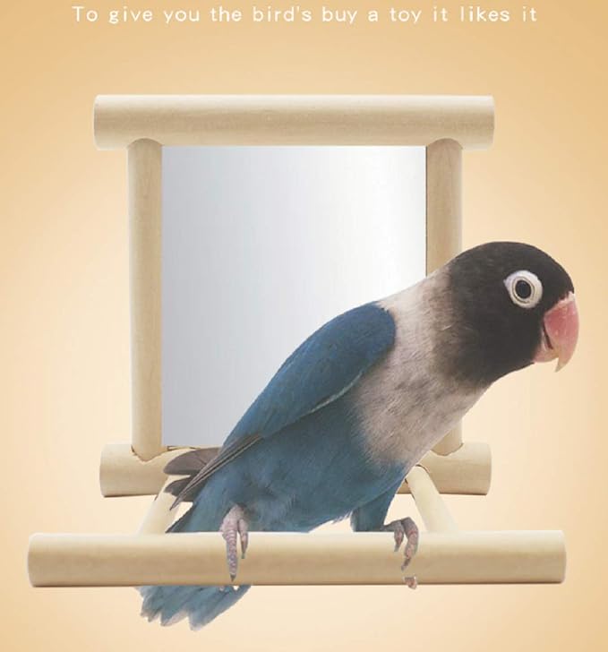Birds Mirror for Cage, Parrot Hanging Swing - Image 6