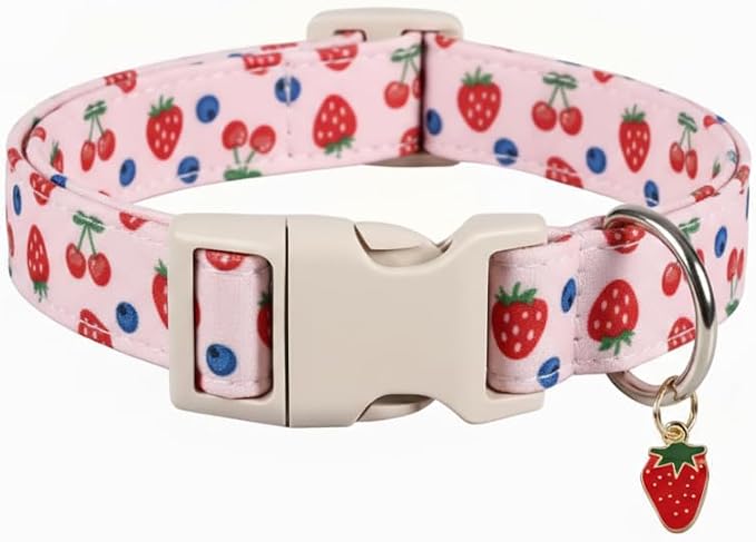 Girl Dog Collar, Cute Dog Collar by Britwicfr