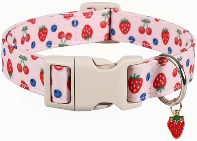Pink Dog Collar, Female Dog Collar by Britwicfr