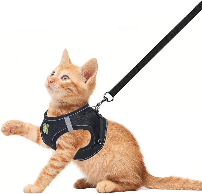 FEimaX Dog Harness and Leash Set, No Pull Breathable Soft Mesh Puppy Vest - Image 2