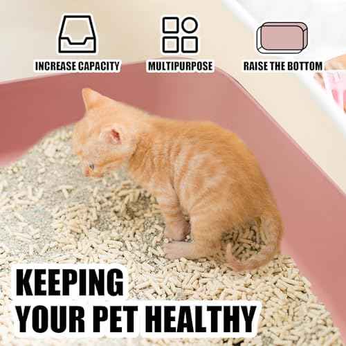 5PCS Small Litter Box, Plastic Kitten Litter Box, 13.9 x 9.8 x 3 Inch