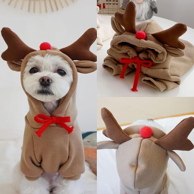 Warm Dog Winter Clothes Cute Fruit Dog Coat Hoodies Fleece Pet Dogs Costume - Image 5