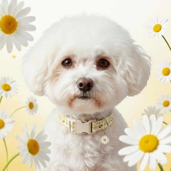 Cute Dog Collar, Spring Summer Design Floral Collar - Image 7