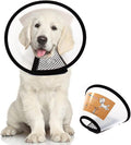 Plastic Pet Recovery Collars & Cones by QIYADIN