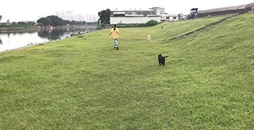 AmaGood Dog/Puppy Obedience Recall Training Agility Lead-15ft 20ft 30ft 50ft - Image 6