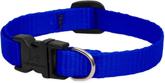 LupinePet Basics 1/2" Blue 6-9" Adjustable Collar - Image 2