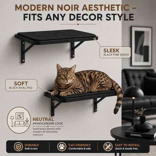 Cat Wall Shelves Set of 2, Black Solid Wood Window Perches with Sisal