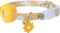 Breakaway Cat Collar with Airtag Holder, Kitten Collar with Apple Air Tag by Bencacawinstyle