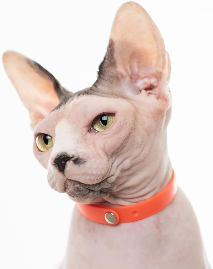 5 Pack Breakaway Cat Collar - Image 6