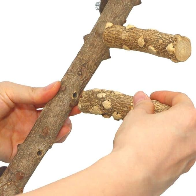 Bird Ladder Perch Cage Nature Wood Stand Parrot Chew Toy - Image 6