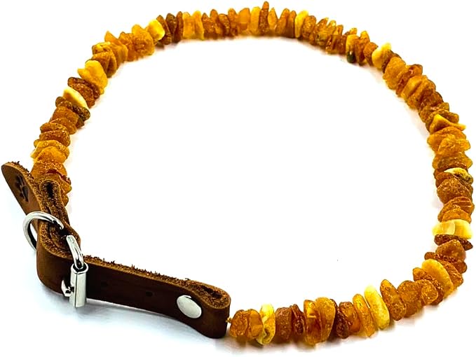 Amber Collars for Dogs & Cats by AmberJewelry
