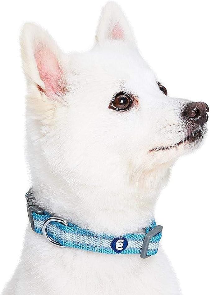 Blueberry Pet Essentials Matching Small Dog Collar | Adjustable Classic Solid - Image 3