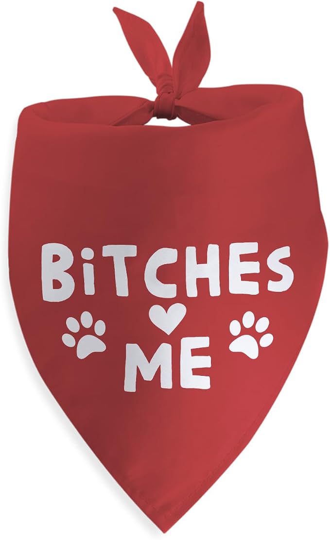 Funny Dog Birthday Bandana Boy Girl Pets Birthday Gift by SYIJIMSJKT