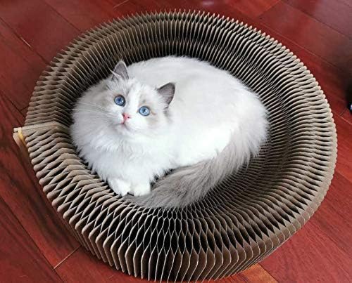 Cat Scratcher Lounge Bed - Image 9
