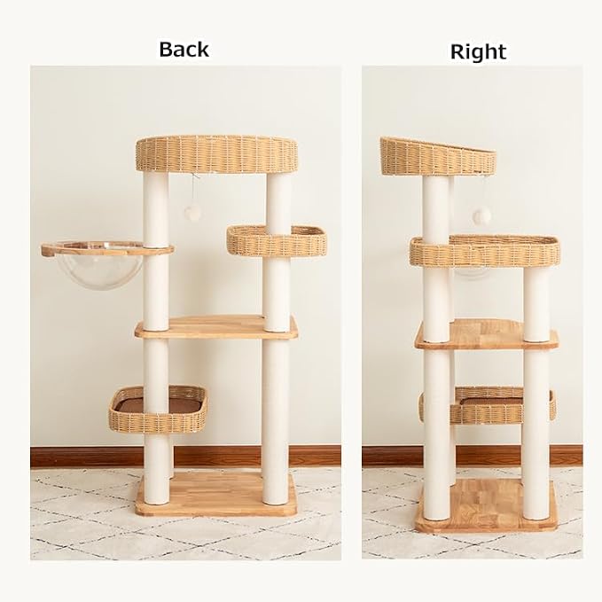 48'' Cat Tree for Large Cats, Modern Cat Tree Multi-Level Condo - Image 3