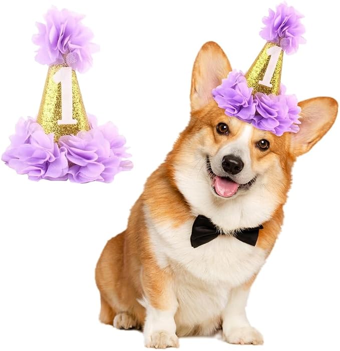 Stock Show 1st Pet Birthday Cone Hat Dogs Cats Holiday Party Hat Headwear by Unknown