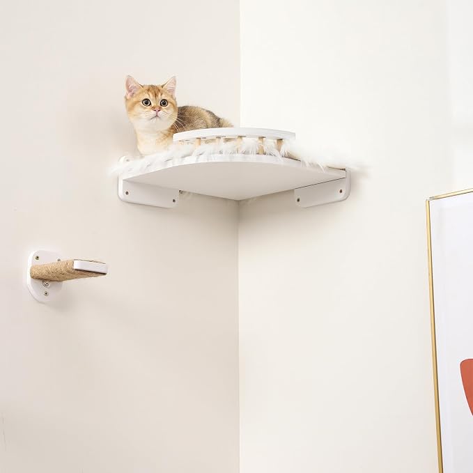 Cat Wall Shelves - Image 3