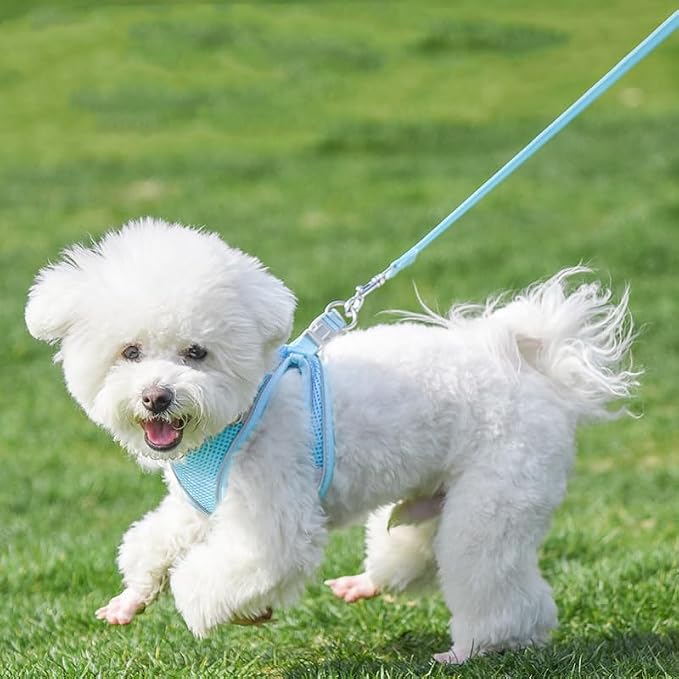 AIITLE No Pull Dog Harness and Leash Set, Step in Adjustable Dog Harness - Image 8