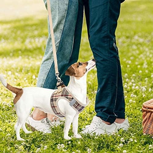 PUPTECK Adjustable Dog Harness Collar and Leash Set Step in No Pull Pet Harness - Image 8
