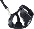 RC Pets Adventure Kitty Harness Includes Adjustable, Airmesh Fabric by RCPets