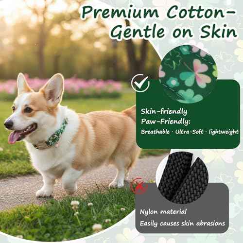 St. Patrick's Day Dog Collar,Green Clover Lucky Shamrock Puppy