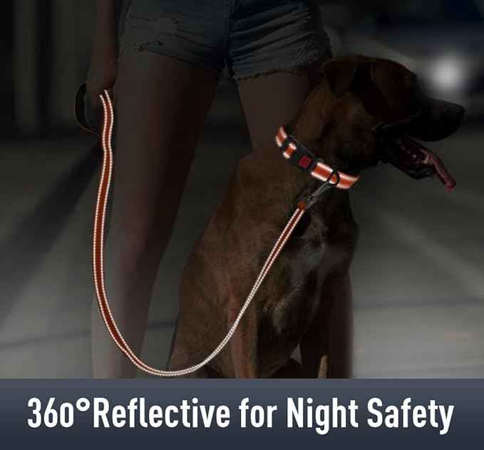 Airtag Dog Collar with AirTag Holder
