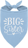 Big Sister Dog Bandana, Light Blue Pet Scarf Accessories, Pet Triangle Scarf by ZPPRJF