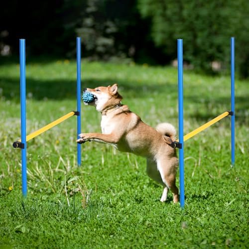 Hollowfly 8 Set Dog Agility Jump Adjustable Dog Agility Hurdle