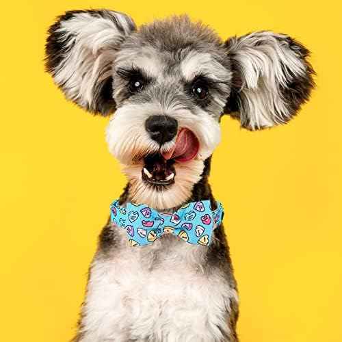 MR. CHUBBYFACE Valentine's Dog Collar with Bowtie, Cute Blue Heart Dog