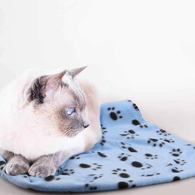 Comsmart Dog Blankets for Small Dogs, 6 Pack Puppy Blanket Cute Paw Print Pet - Image 6
