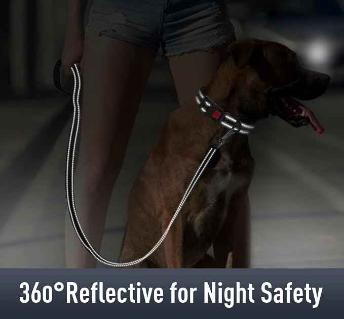 Airtag Dog Collar with AirTag Holder