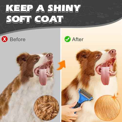 3PCS Pet Grooming Rake & Metal Comb & Flea Comb for Cats and Dogs