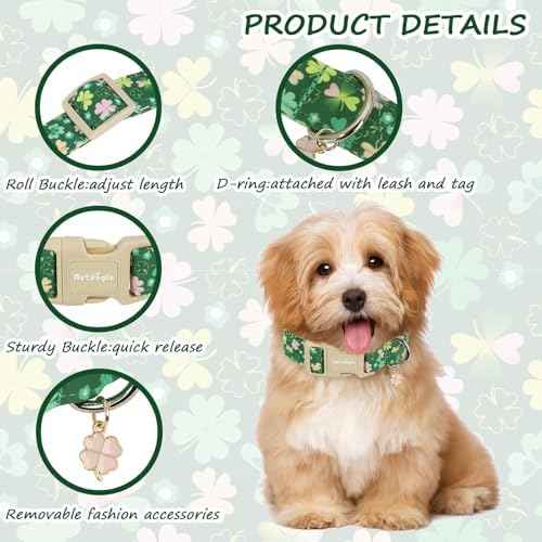 St. Patrick's Day Dog Collar,Green Clover Lucky Shamrock Puppy