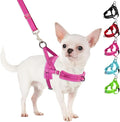 SlowTon No Pull Small Dog Harness and Leash Set, Puppy Soft Vest Harness Neck & by SlowTon