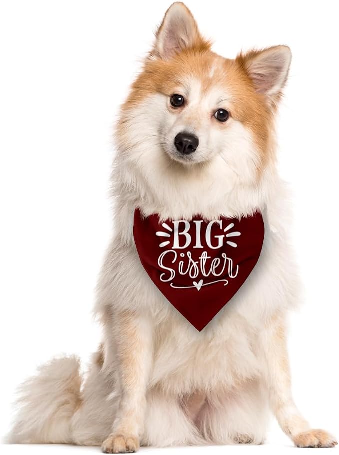 Big Sister Bandana for Dogs, Dog Pregnancy Announcement, Dark Red Dog Bandana - Image 2