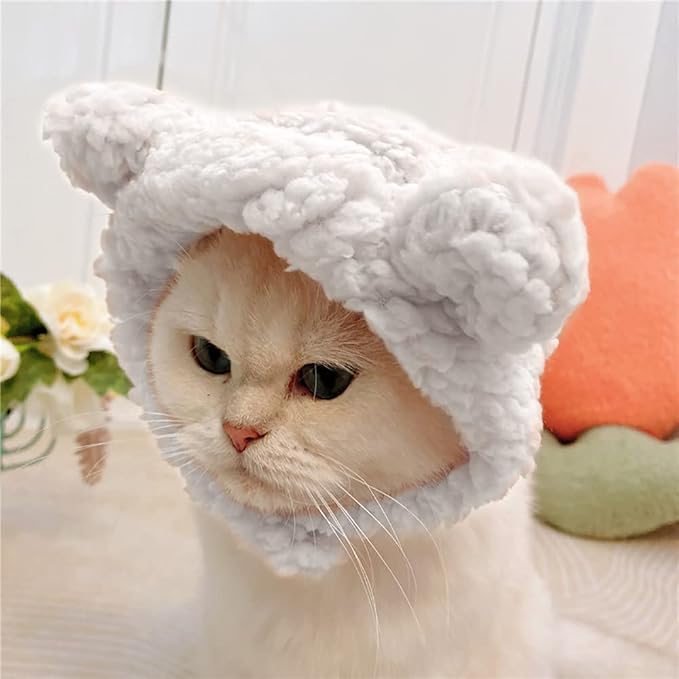 JOICEE Cute Cat Costume - Image 4